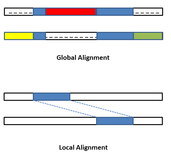 05-BioInfoBasics/Global-alignment-vs-Local-alignment.png