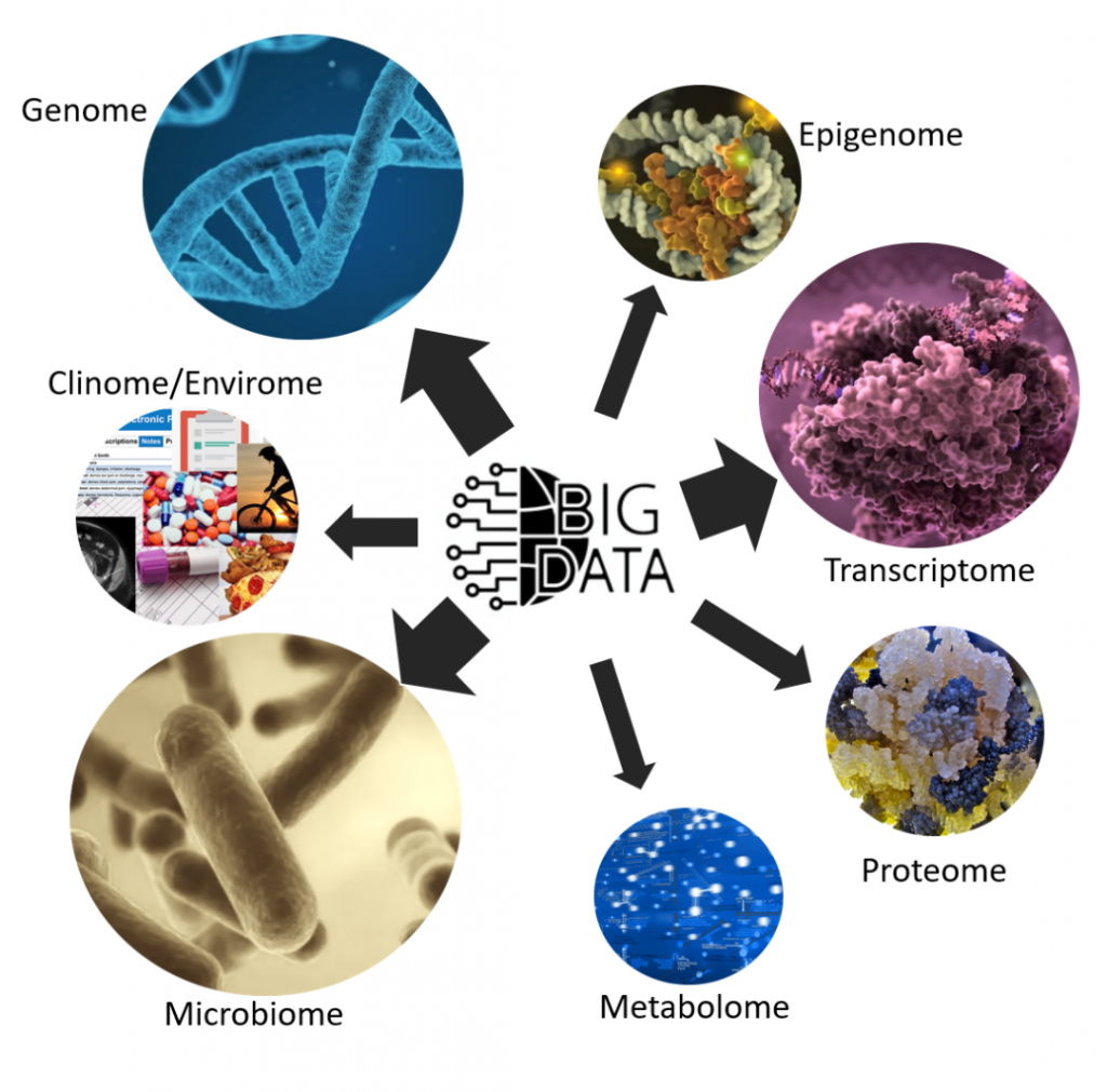 05-BioInfoBasics/bioinformatics_diagram1-1024x1011.png