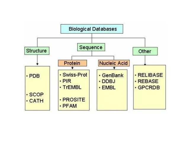 05-BioInfoBasics/databases1.webp