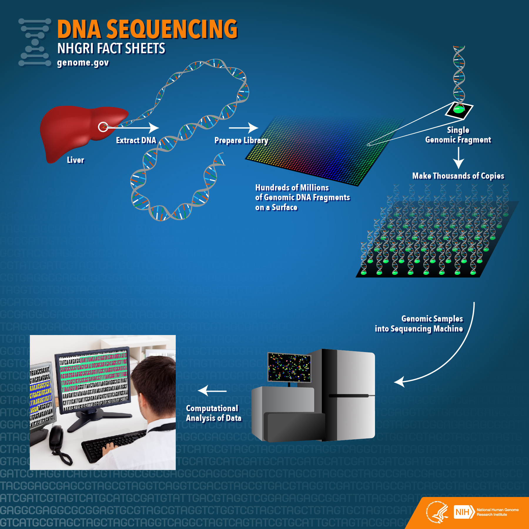 05-BioInfoBasics/dna_sequencing_workflow.jpg