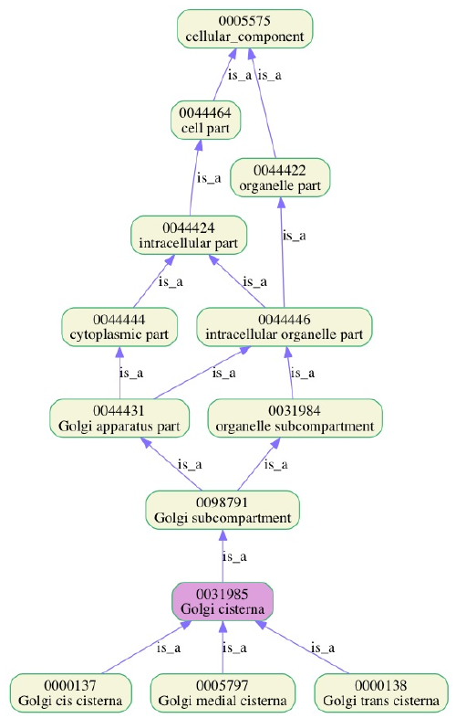 05-BioInfoBasics/gene_ont.png