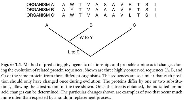 05-BioInfoBasics/hist00.png