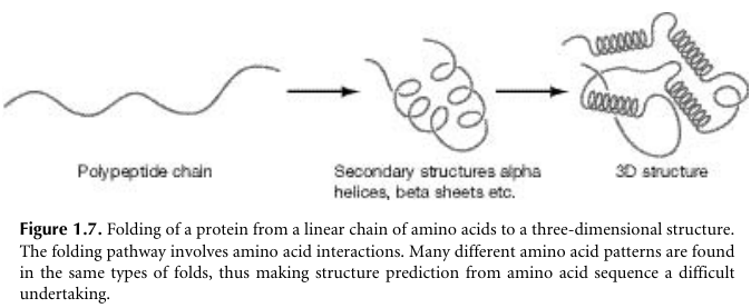 05-BioInfoBasics/hist03.png