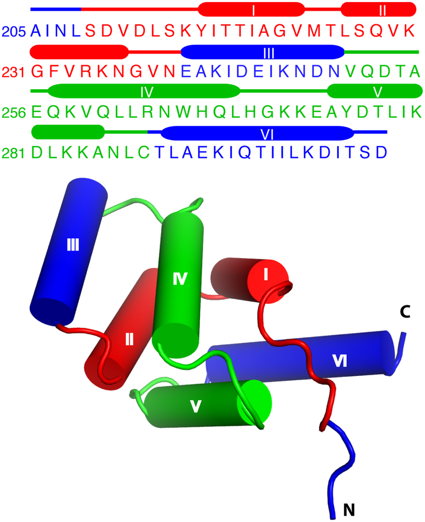 05-BioInfoBasics/protein-seqence-example.png