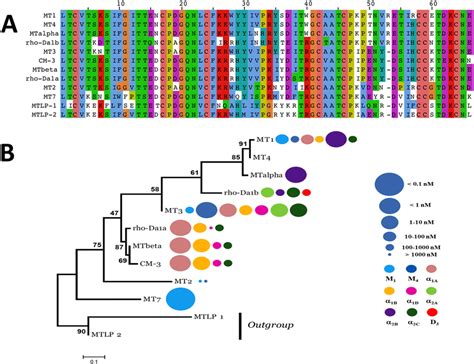 05-BioInfoBasics/protein_tree.jpg