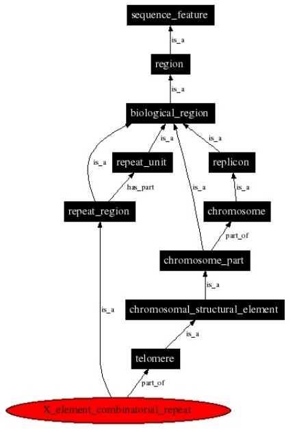 05-BioInfoBasics/seq_ont.png