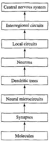 17-NeuralNetworks/levels.png