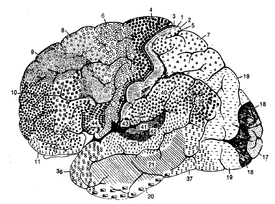 17-NeuralNetworks/variability.png