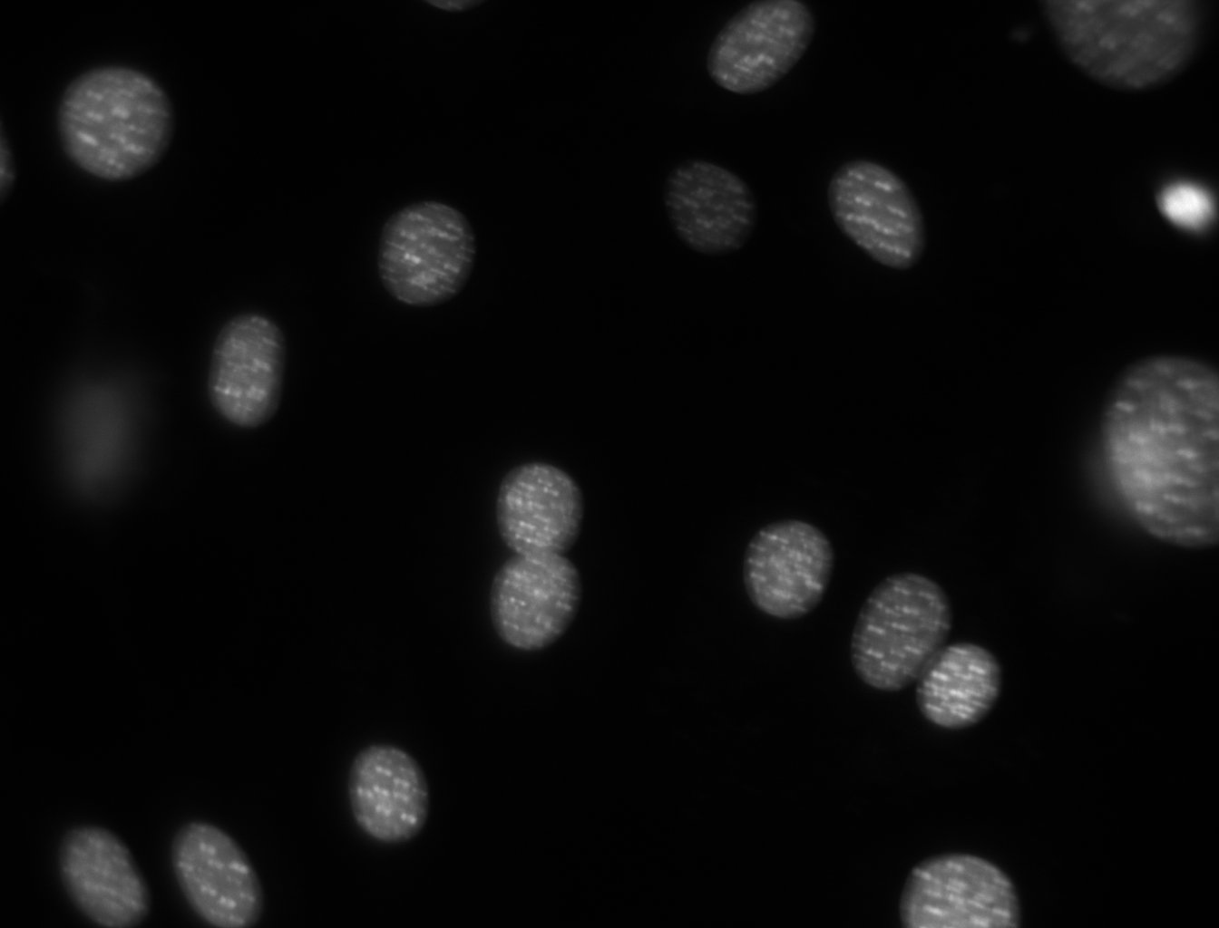 20-ImageBasics/dna.jpg