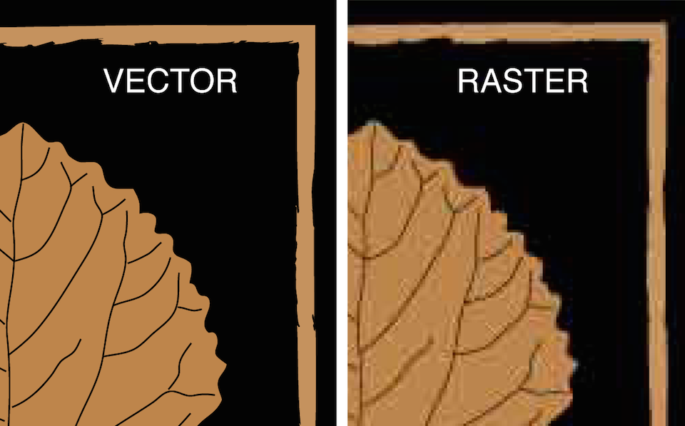 20-ImageBasics/vector-vs-raster.png