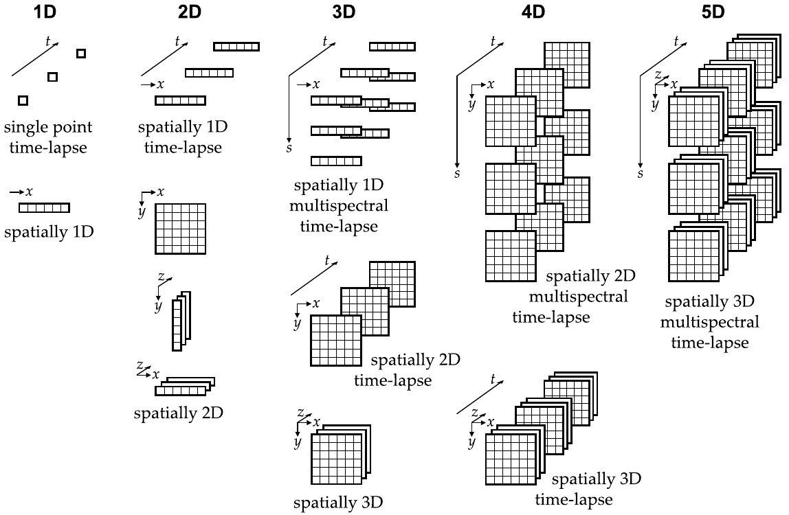 21-BioImage/bio1.png