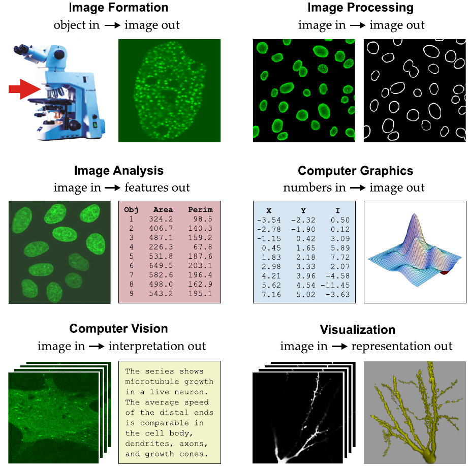 21-BioImage/bio2.png