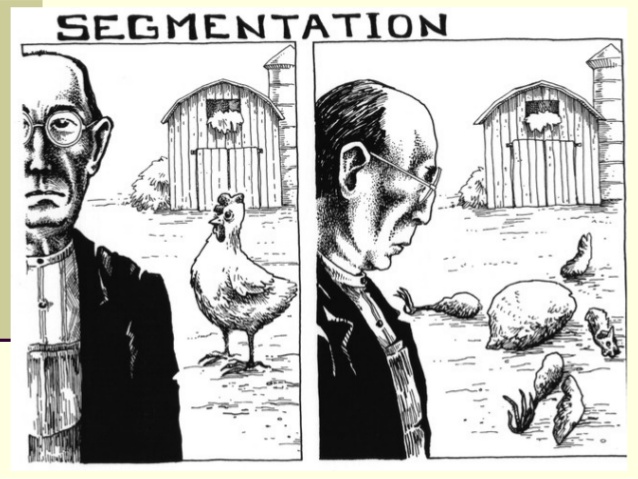 21-BioImage/segmentation_fault.jpg