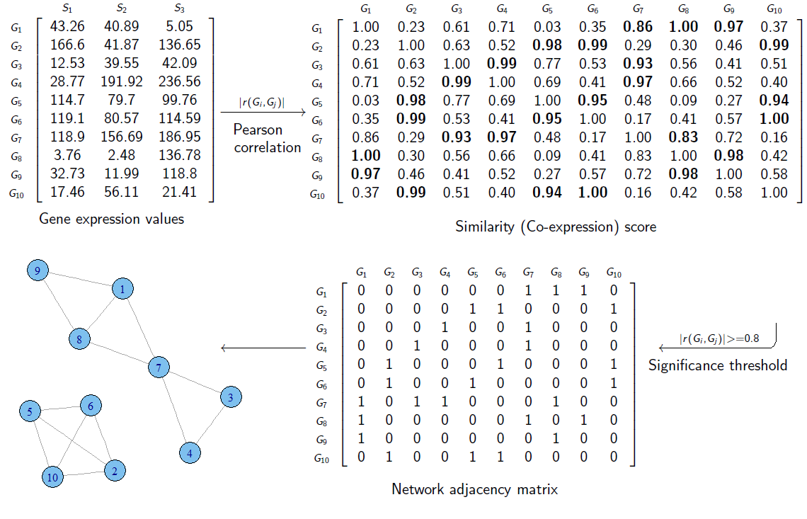 22-BioNetworks/Gene_co-expression_network_construction_steps.png