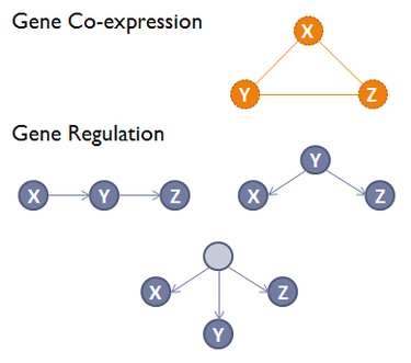 22-BioNetworks/Gene_co-expression_vs_regulation.png