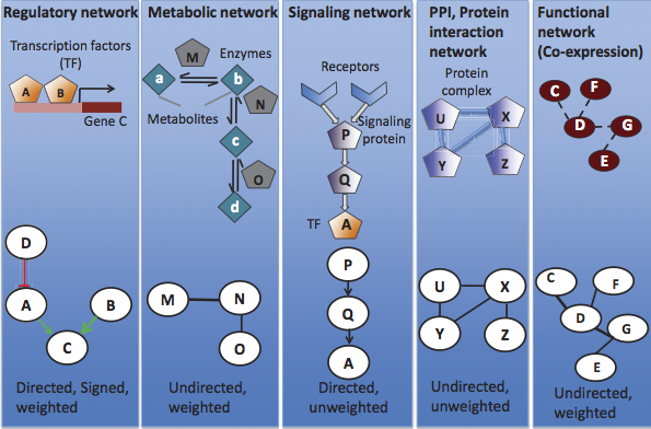 22-BioNetworks/image02.png