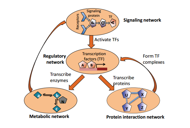 22-BioNetworks/image14.png