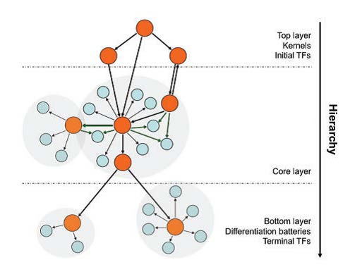 22-BioNetworks/image15.png