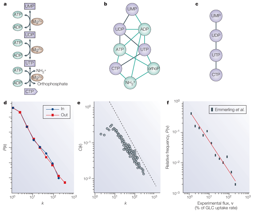 23-GraphTheory/metabolic.png