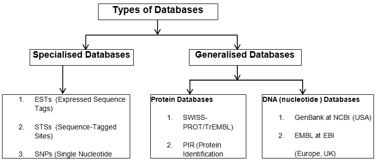 BioInfoBasics/databases2.png