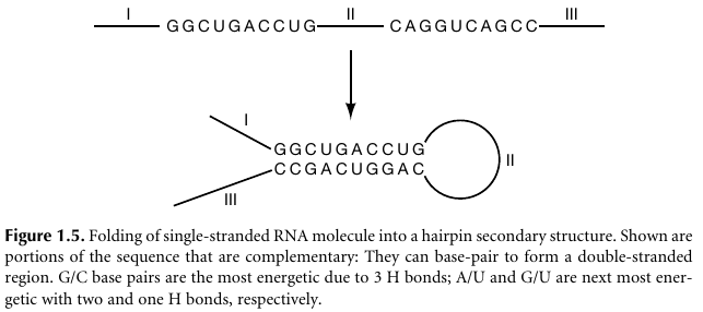 BioInfoBasics/hist02.png