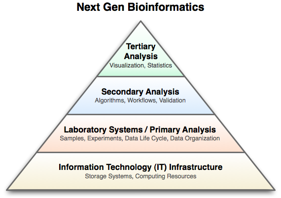 BioInfoBasics/image6.png