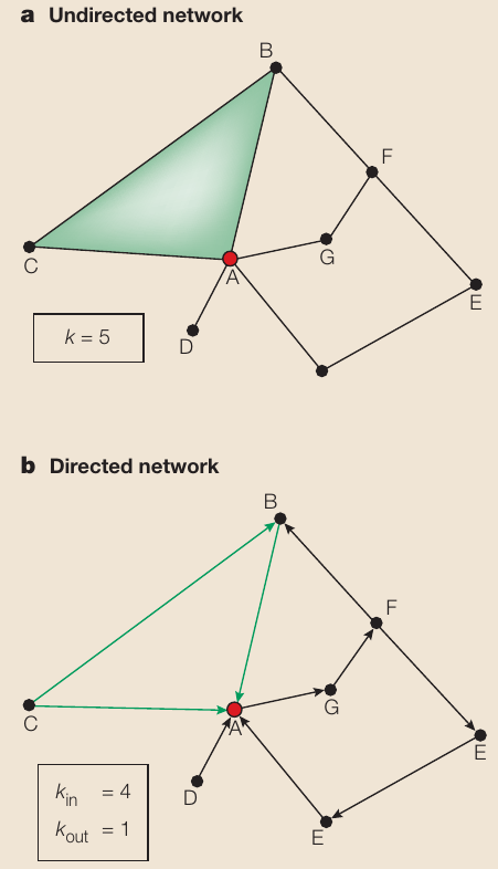 GraphTheory/degree.png