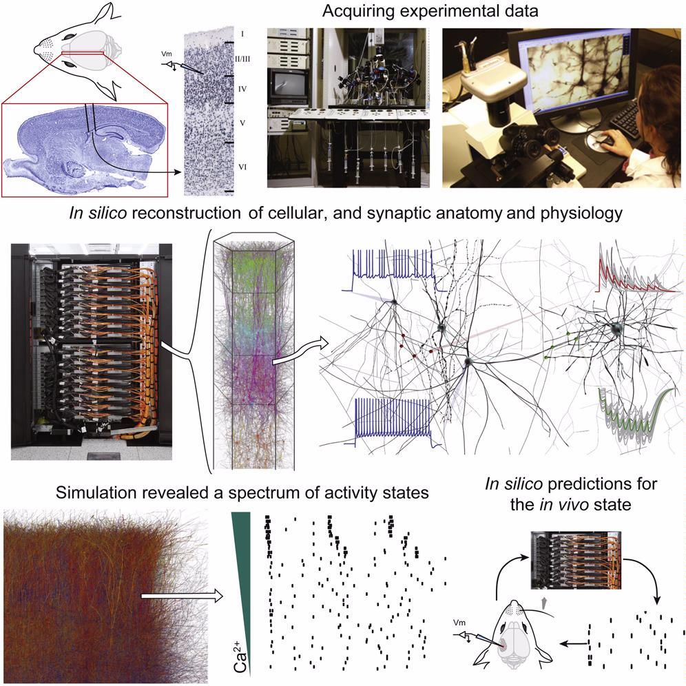 eScience/bluebrain0.png