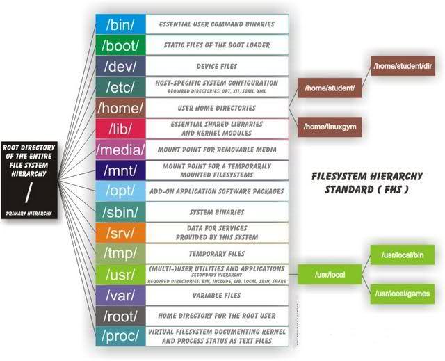 LinuxBash/Linux-Directory-Structure.jpg