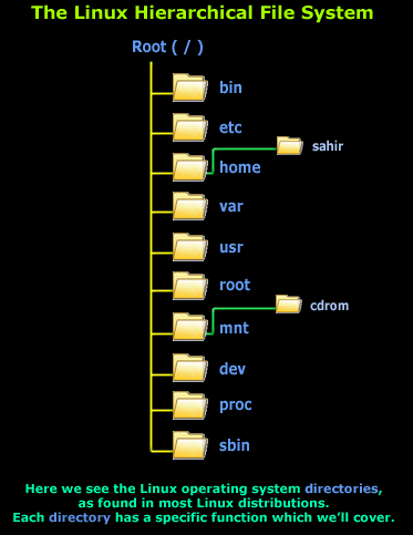 LinuxBash/linux-introduction-file-system-1.gif