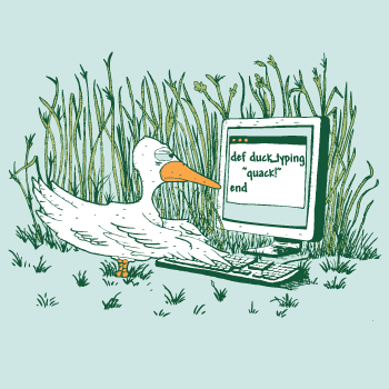 11-TypeHints/duck_typing.png