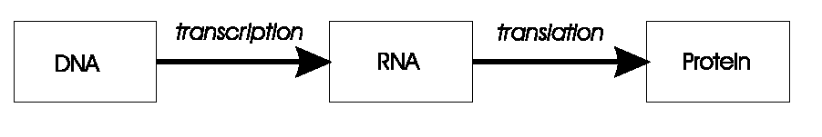 02-BioAnalogyOrigins/ch02-EC_the_origins-20142.png