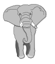 03-MetaheuristicParts/03-elephant.png