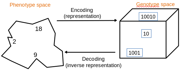 03-MetaheuristicParts/03-pop_model.png