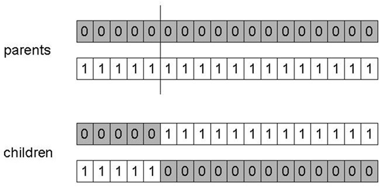 04-RepresentMutateRecombine/ch04-Representation_Mutation_Recombination-20142.png