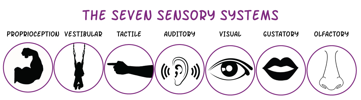 17-EvolutionaryRobotics/seven-sensory-systems.jpg