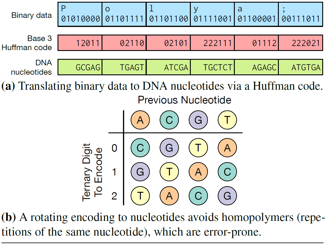 BioAnalogyOrigins/code.png