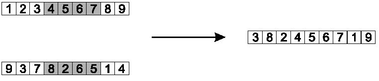 RepresentMutateRecombine/ch04-Representation_Mutation_Recombination-201418.png