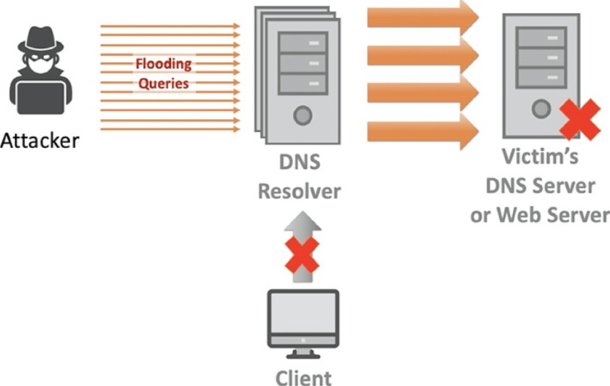 02-Application/dns_flood.jpg