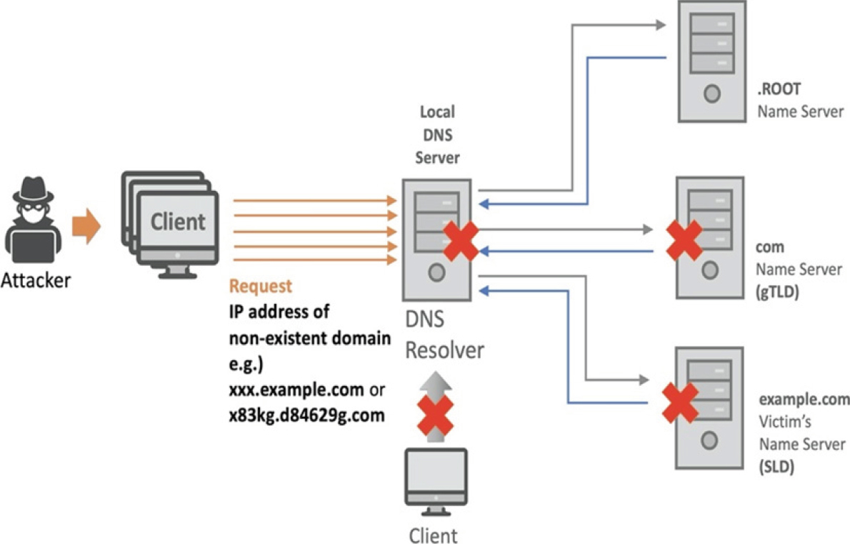 02-Application/dns_poison.jpg