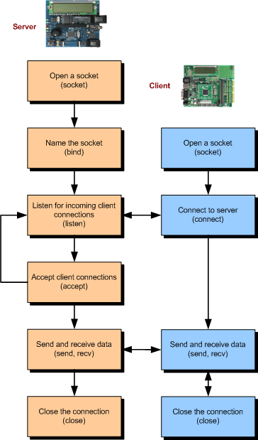 02-Application/socket_BSDflow.png