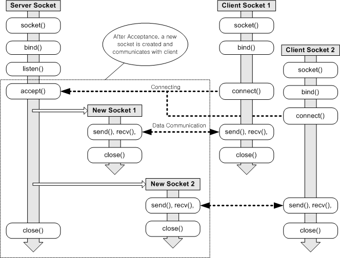 02-Application/socket_Berkeley_SOCKET.jpg