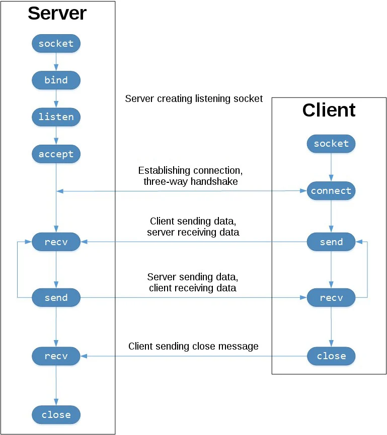 02-Application/sockets-tcp-flow.webp