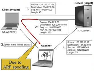 03-Transport/tcp-hijack3.bmp