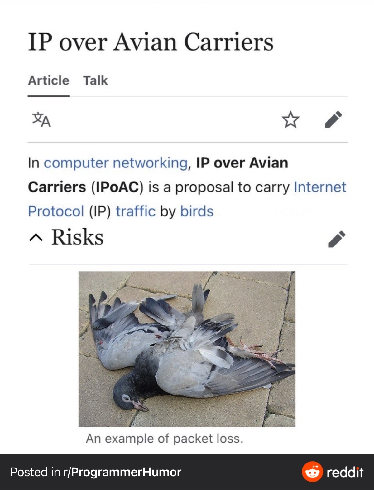 04-NetworkData/ip_over_avian.jpg