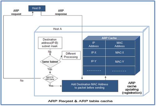 07-DataLink/ARP-request-and-ARP-table-cache.jpg